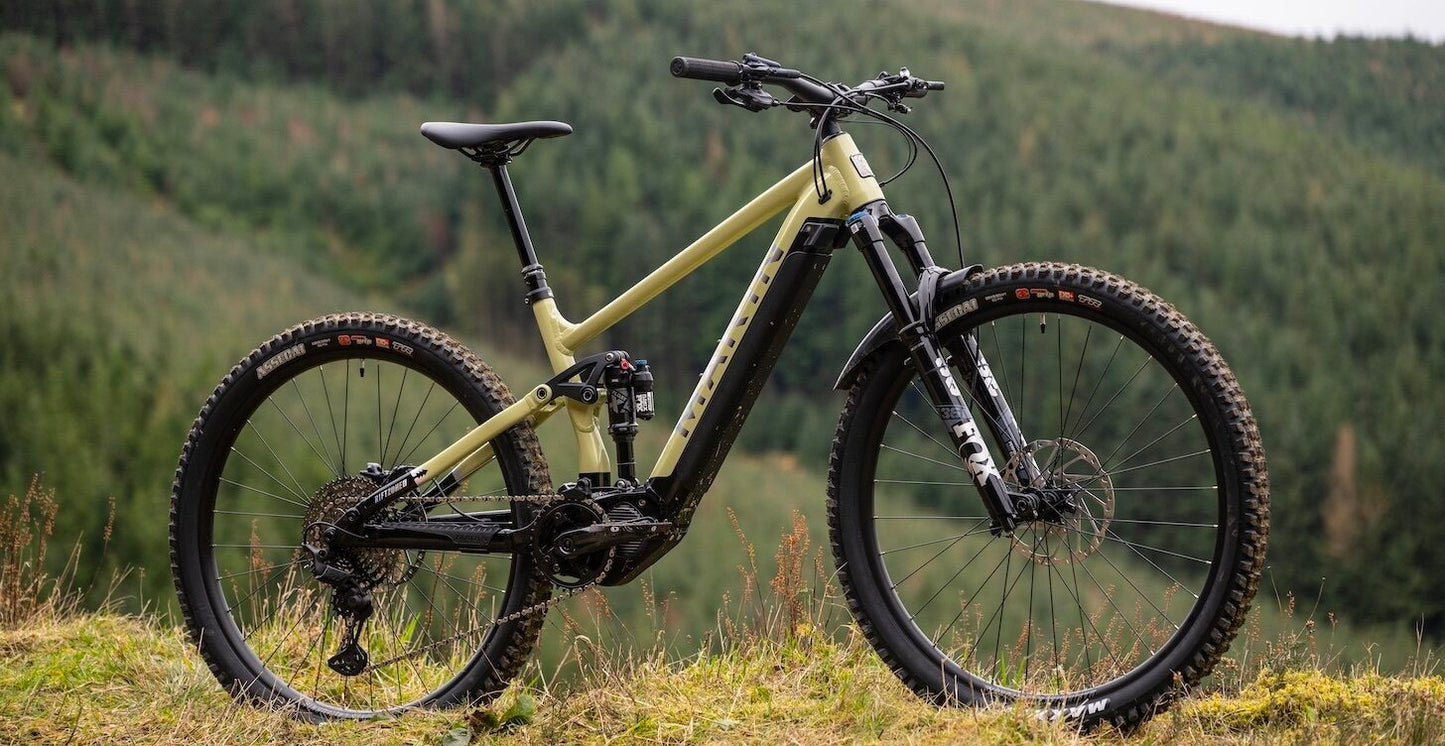 Marin eMTB Rental