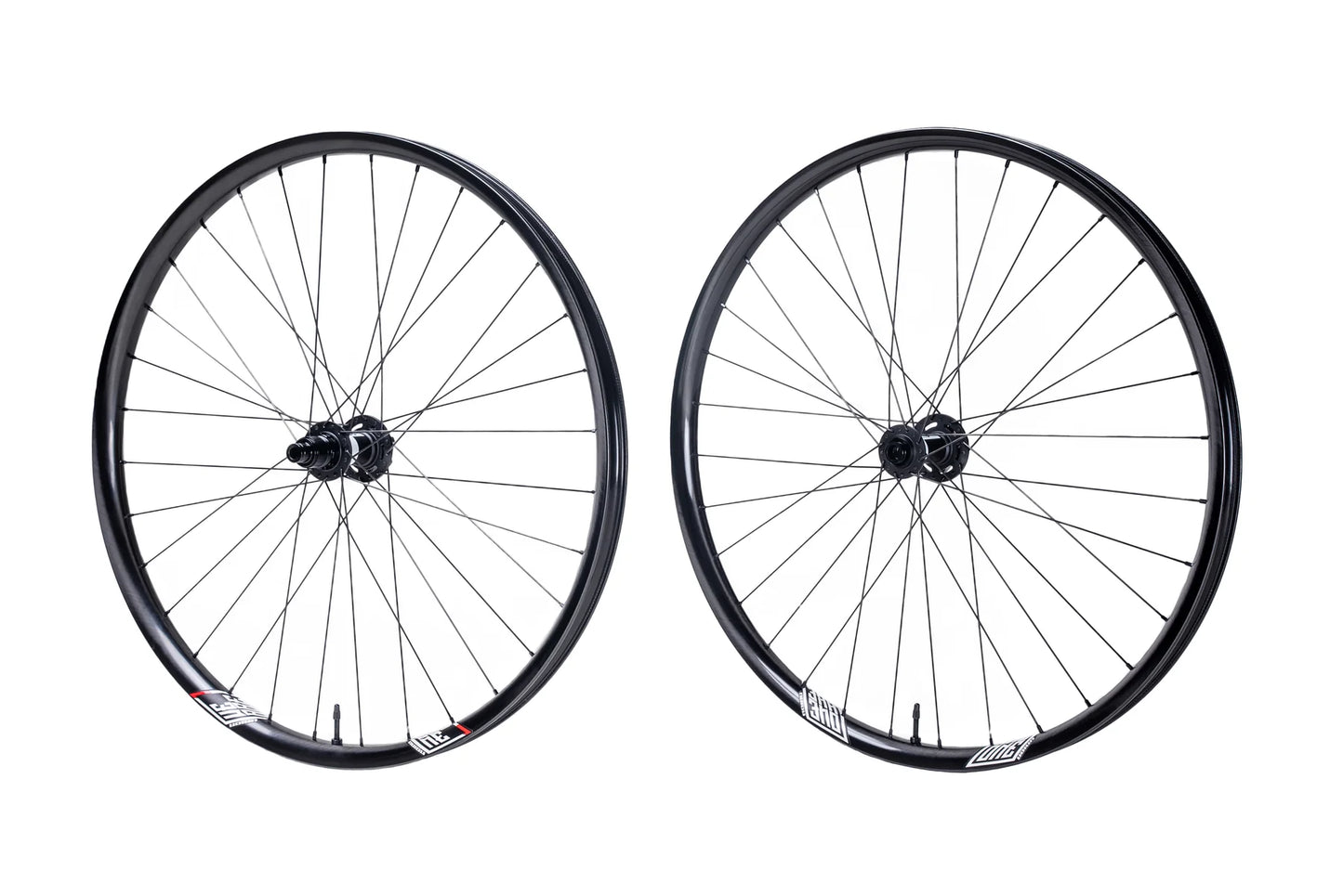 We Are One Revolution Wheelset - DT Swiss 350