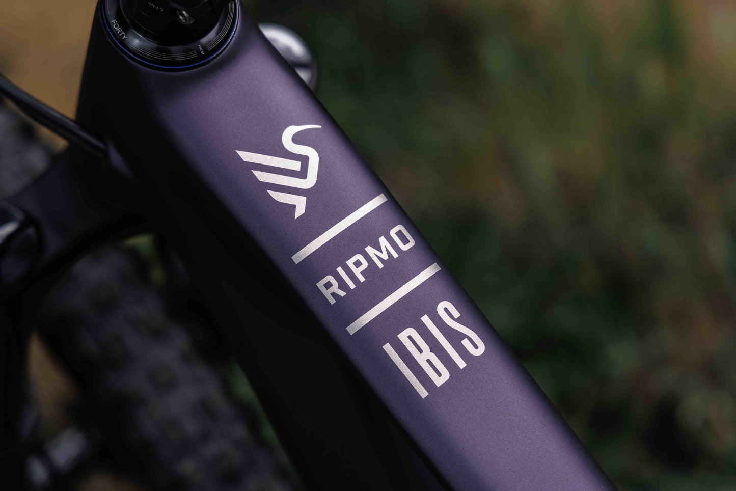 Ibis Ripmo V3 | Built To Rip