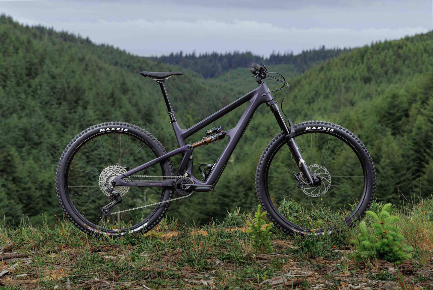 Ibis Ripmo V3 Mountain Bike Rental