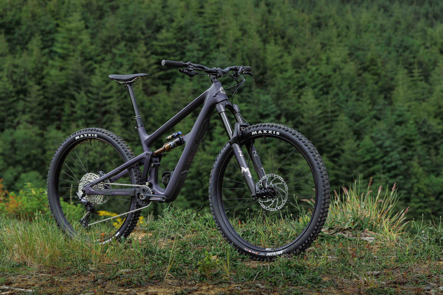 Ibis Ripmo V3 Mountain Bike Rental