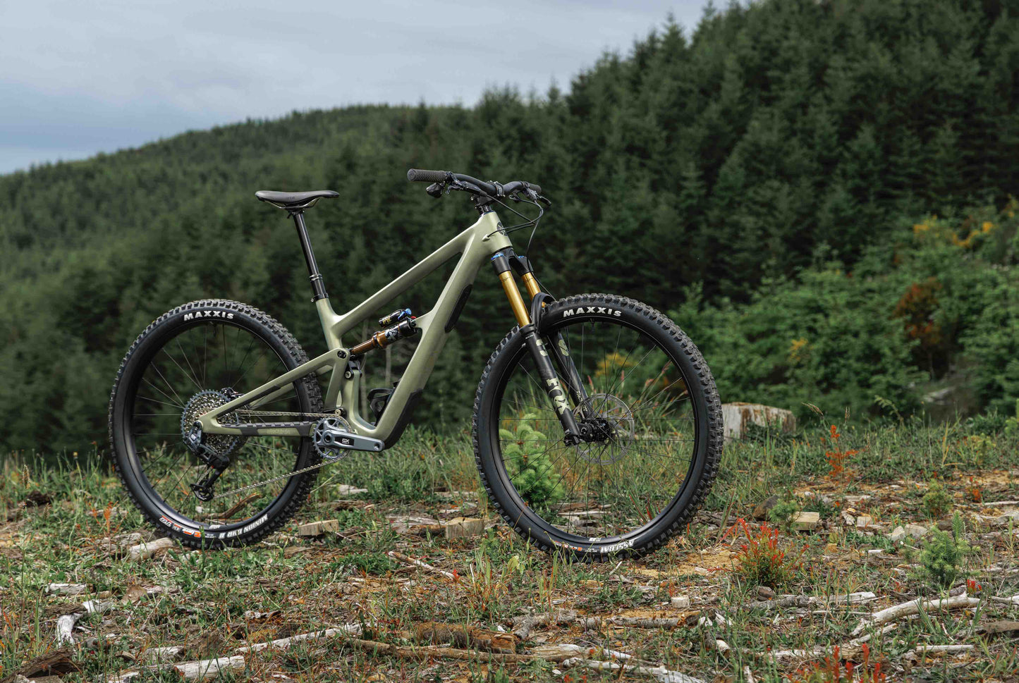 Ibis Ripmo V3 Mountain Bike Rental