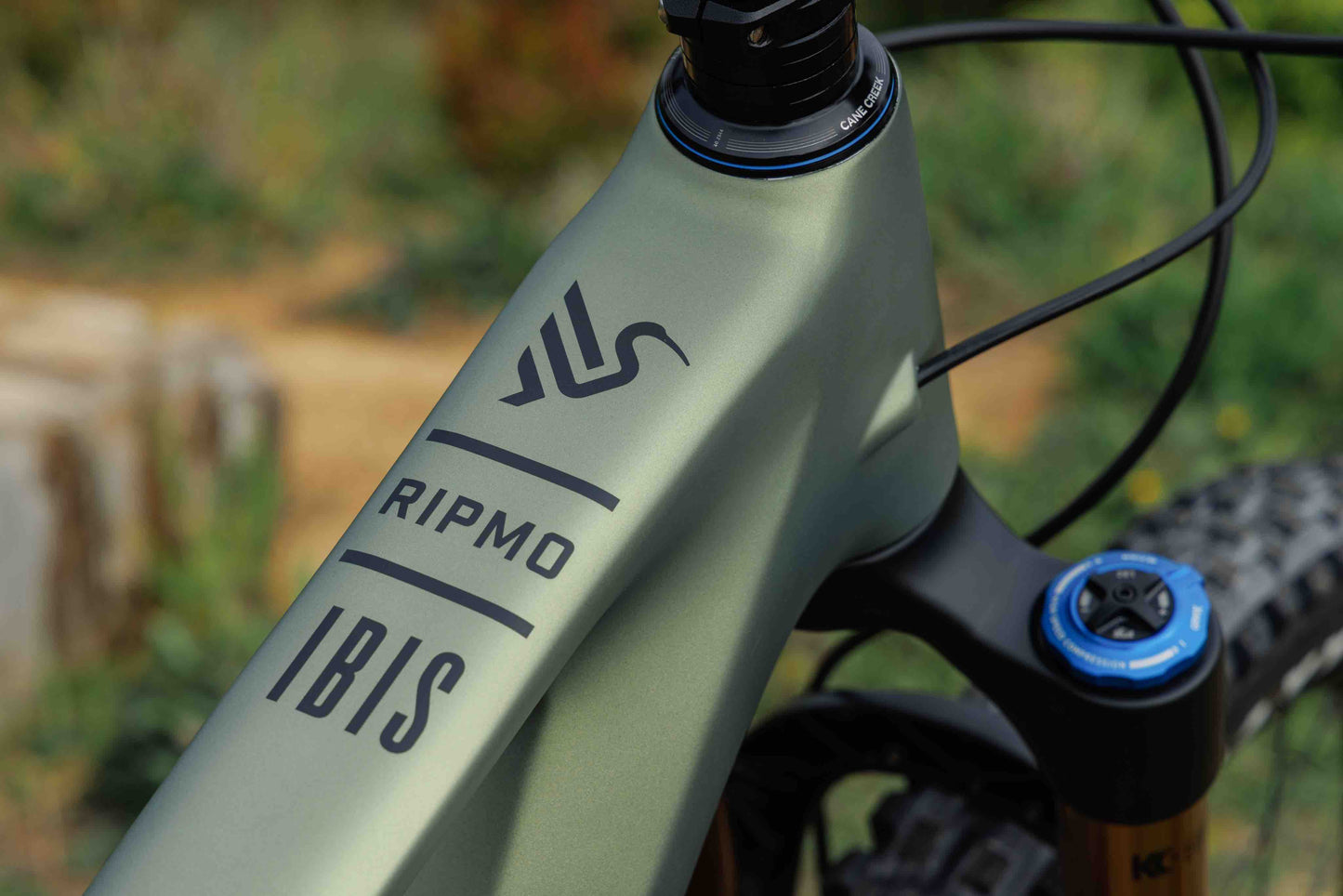 Ibis Ripmo V3 Mountain Bike Rental