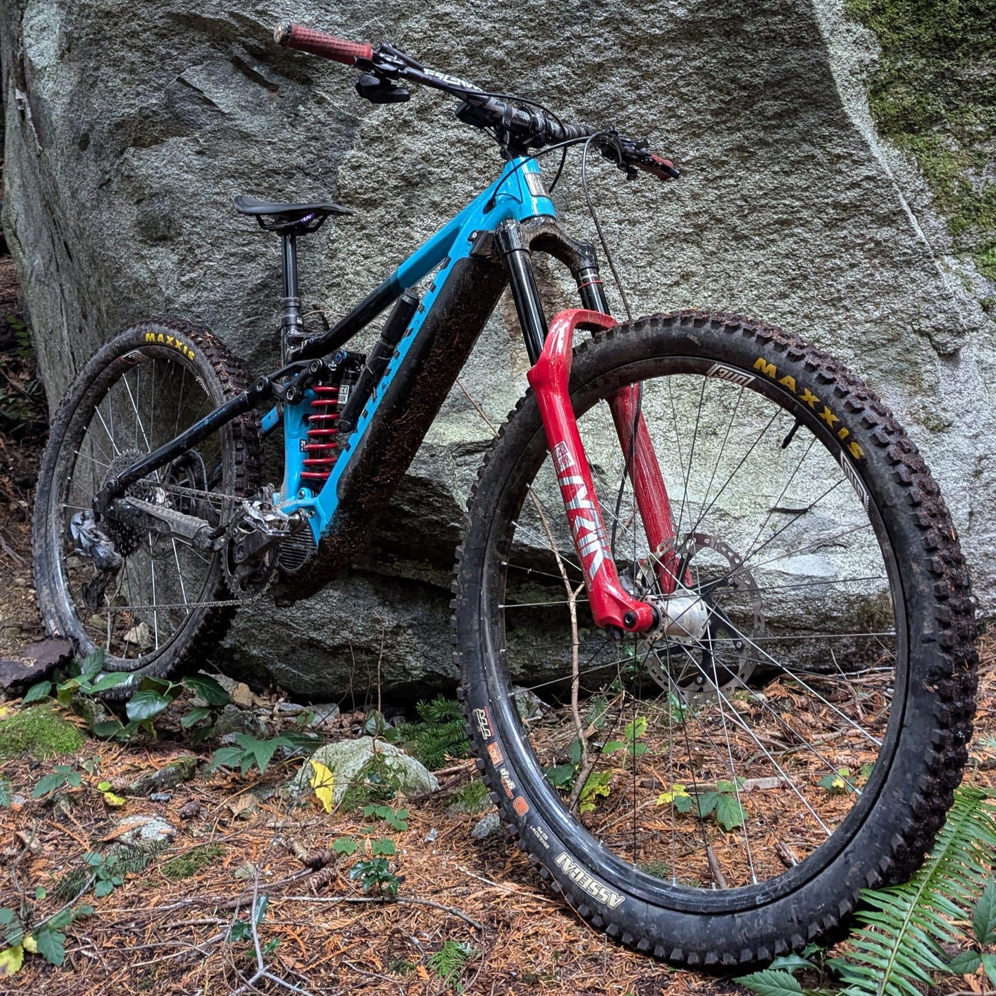 Marin eMTB Rental