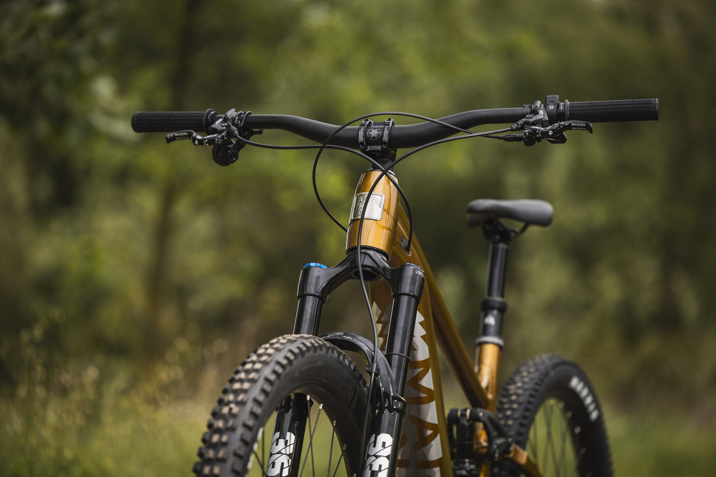 Marin Rift Zone EL | The Ultimate Lightweight Trail eMTB