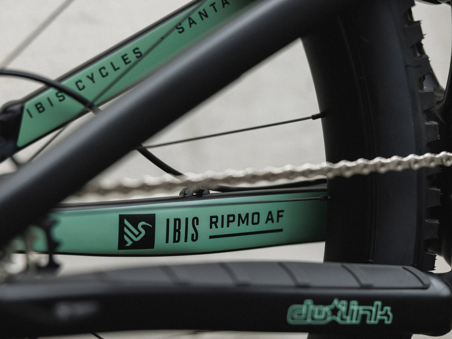 Ibis Ripmo AF UDH | Its Metal